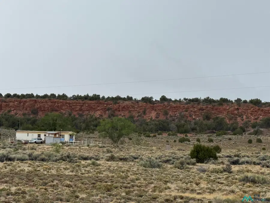 TBD Cousins Road, Vanderwagen, NM 87326 - Image #3