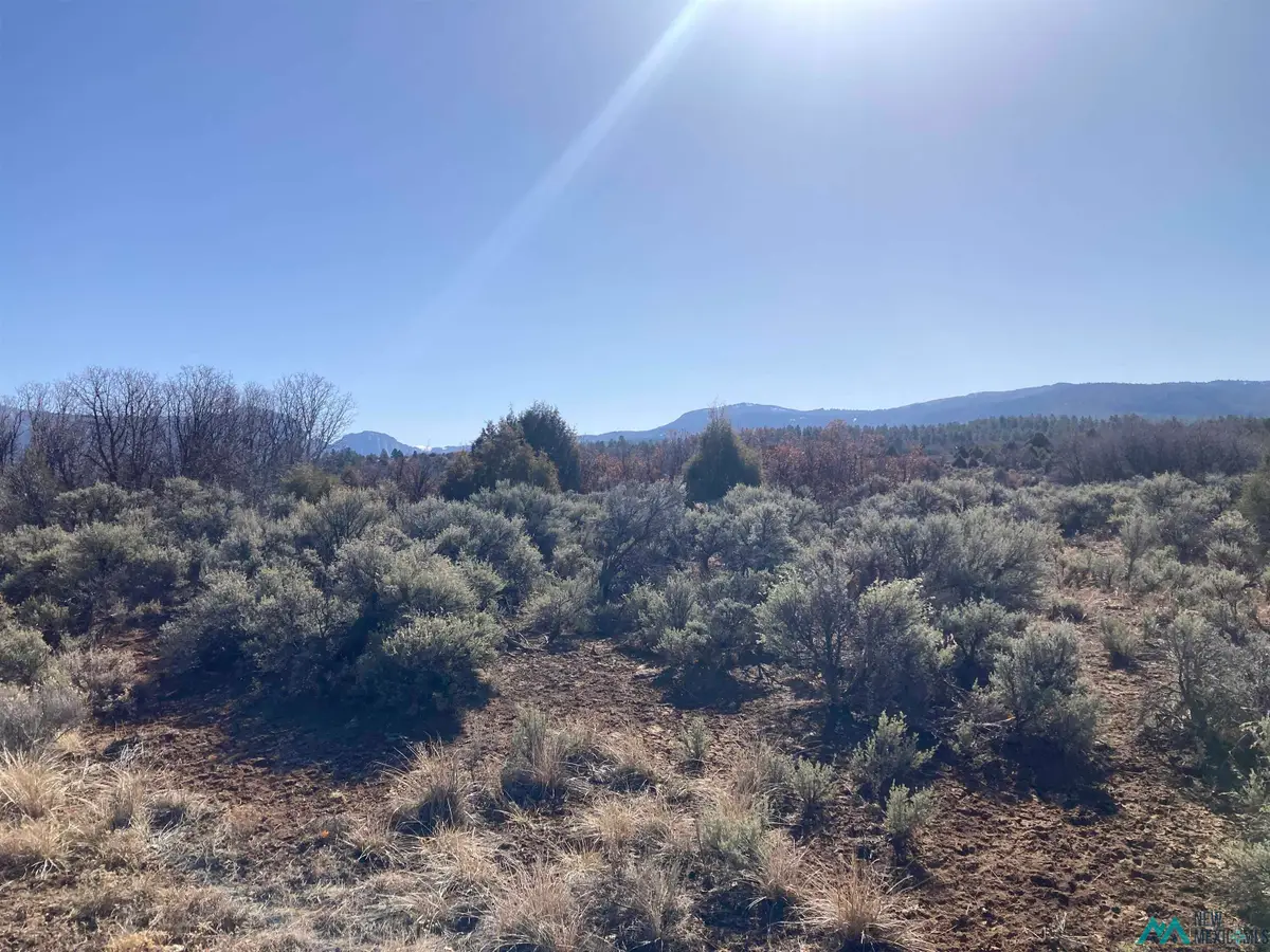 TBD Tierra Grande Lots 39 40 41 42, Ensendada, NM 87575 - #1