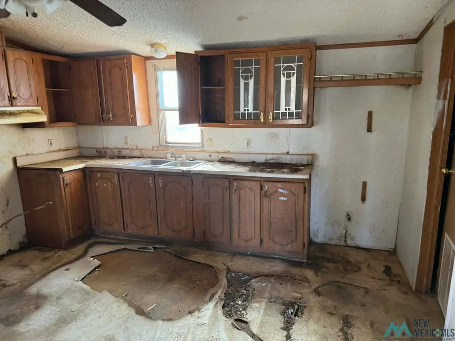 25 Aceituna Lane, Mesquite, NM 88048 - Image #3