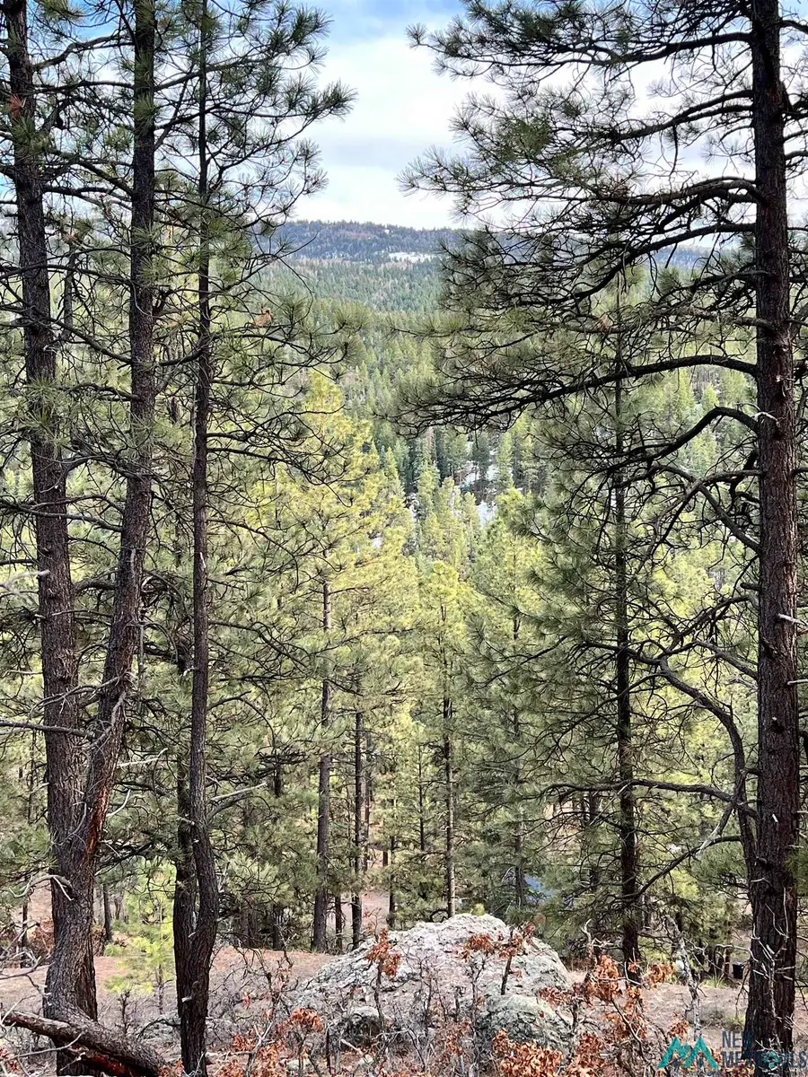 R-56 Private Dr Drive, Chama, NM 87520 - Image #2