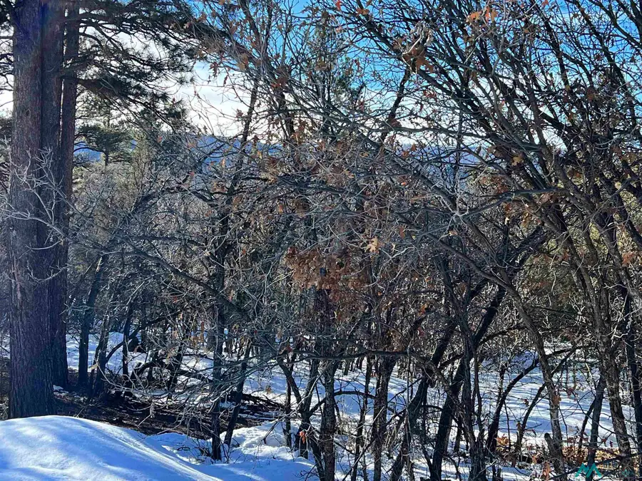0 Lot 14, Brazos Estates Road, Chama, NM 87520 - Image #3