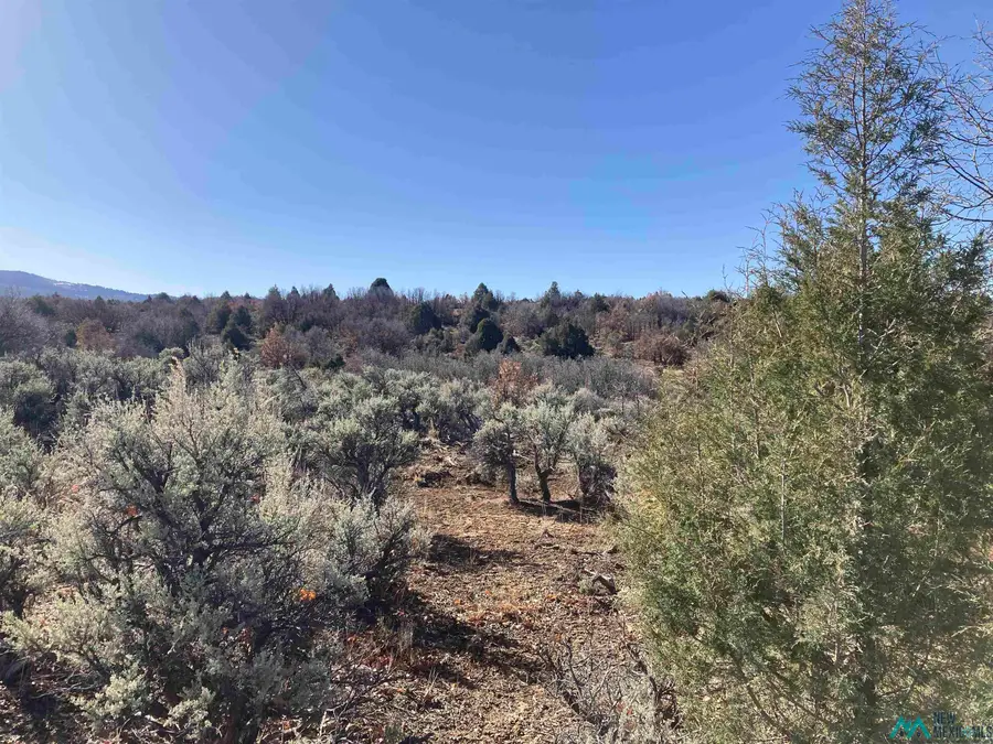TBD Tierra Grande 16 43 44 45, Ensendada, NM 87575 - #2