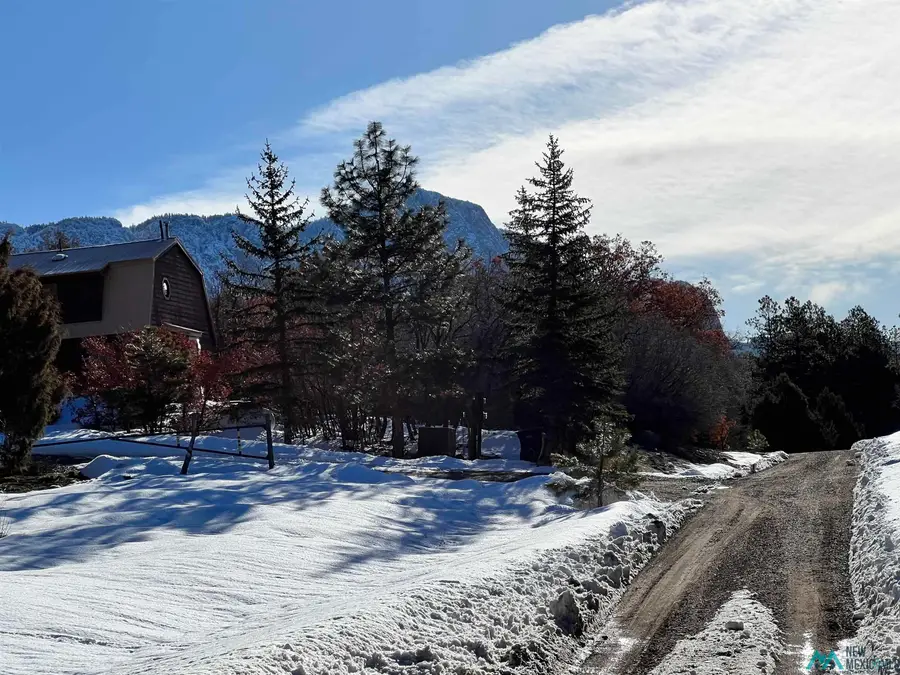 0 Block 2, Lot 15, Brazos Estates Road, Chama, NM 87520 - Image #3