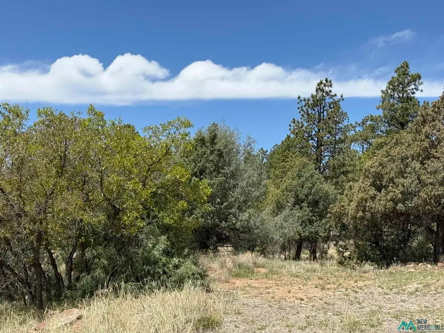 33 Buck Drive, Los Ojos, NM 87551 - Image #3