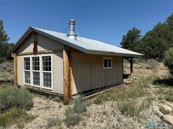 TBD Martingale Lane, Tierra Amarilla, NM 87551