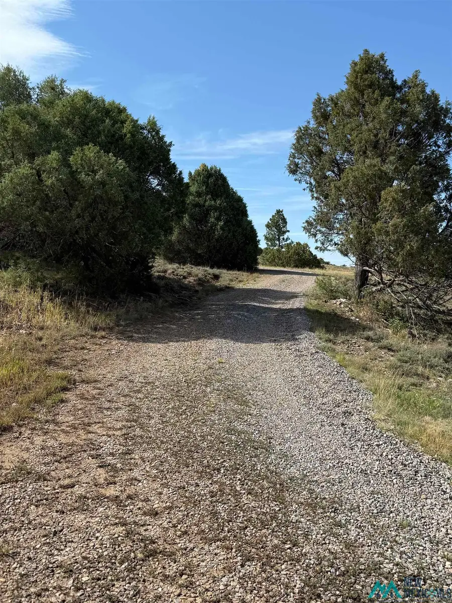 196 341 Road, Chama, NM 87520 - Image #2