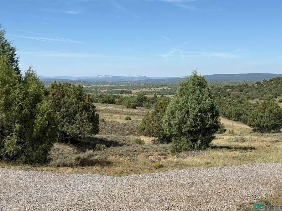 196 341 Road, Chama, NM 87520 - Image #3