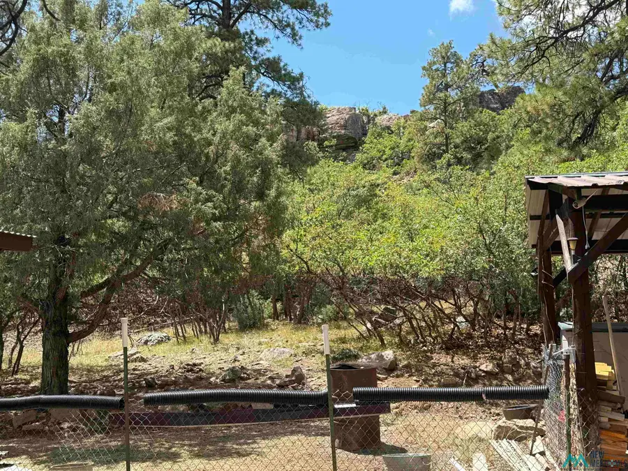 27 Rim Dr Drive, Los Ojos, NM 87551 - Image #3