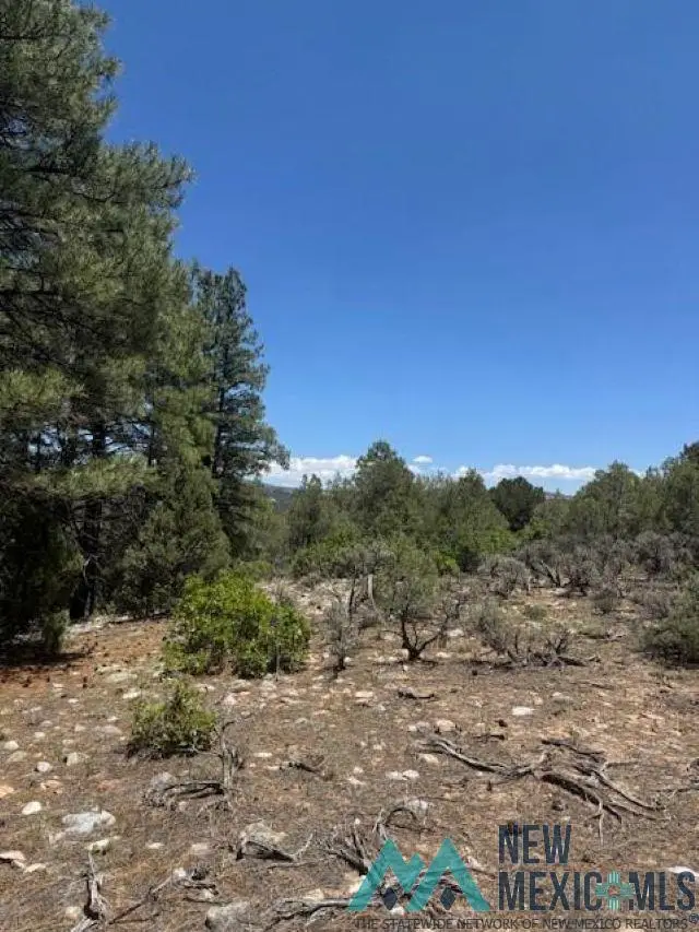 Lot 7 Unit 5, Tierra Amarilla, NM 87575 - Image #3