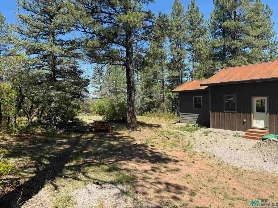160 Indian Paint Brush Road, Chama, NM 87520 - Image #2