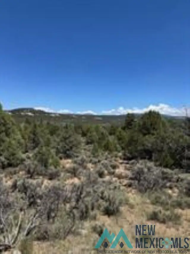 Lot 1 Unit 5 Talavara, Tierra Amarilla, NM 87575 - Image #1