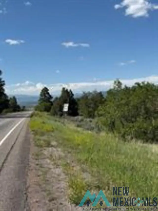TBD Hwy 64 / 84, Tierra Amarilla, NM 87575 - Image #2