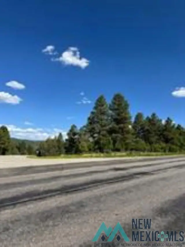 TBD Hwy 64 / 84, Tierra Amarilla, NM 87575 - Image #3