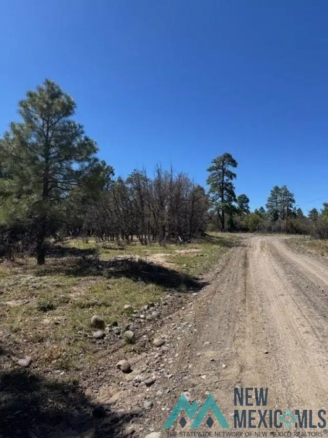 TBD Doe Run, Los Ojos, NM 87551 - Image #3