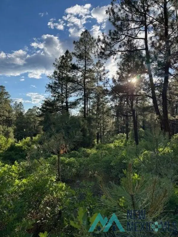 TBD Eagles 2a Road, Chama, NM 87520