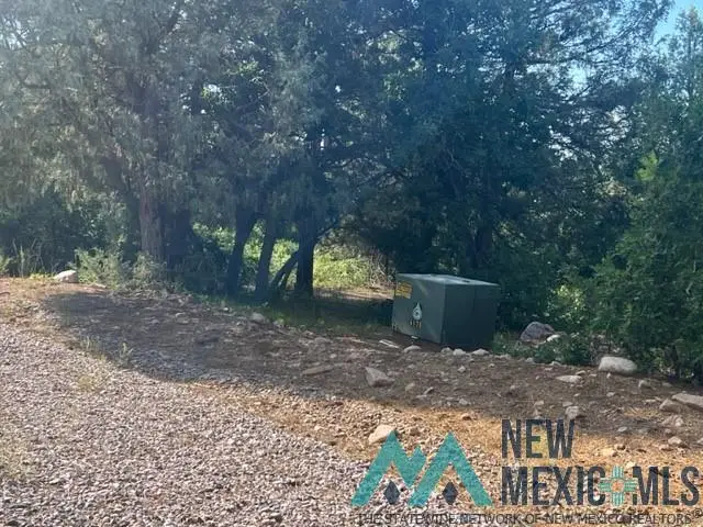 TBD Eagles 2a Road, Chama, NM 87520 - Image #2