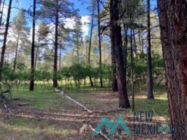 TBD Waterline Road Road, Chama, NM 87520 - Image #1