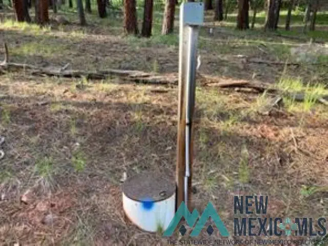 TBD Waterline Road Road, Chama, NM 87520 - Image #3
