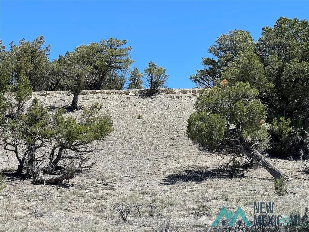 TBD Buena Vista Drive, Tierra Amarilla, NM 87575 - Image #1