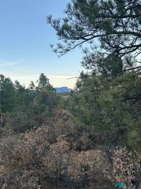 TBD County Rd A30, San Geronimo, NM 87701