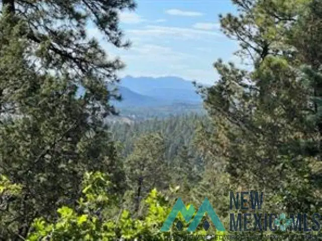 TBD Log Ridge Trail Trail, Chama, NM 87520 - Image #1