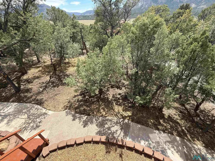 42 Christy Lane, Los Ojos, NM 87551 - Image #2