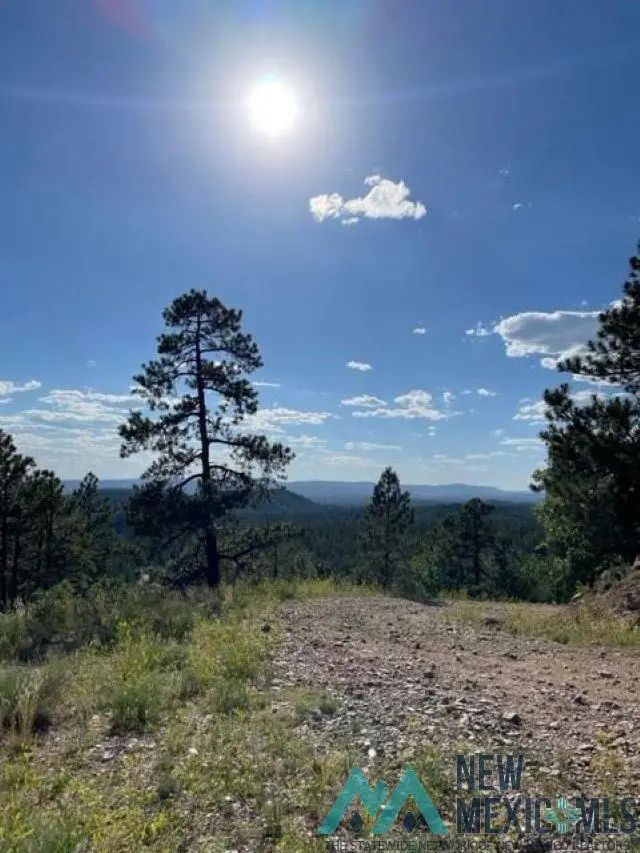 TBD Ticonderoga Drive Drive, Chama, NM 87520 - Image #1