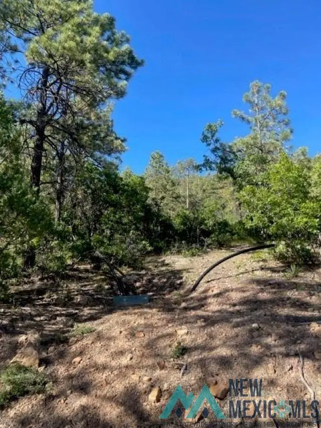 TBD Ticonderoga Drive Drive, Chama, NM 87520 - Image #2