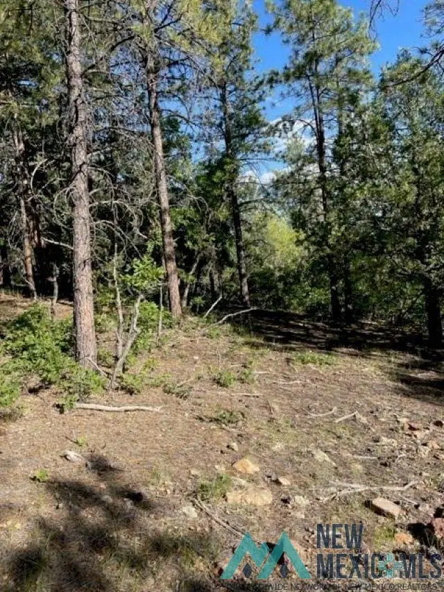 TBD Ticonderoga Drive Drive, Chama, NM 87520 - Image #3
