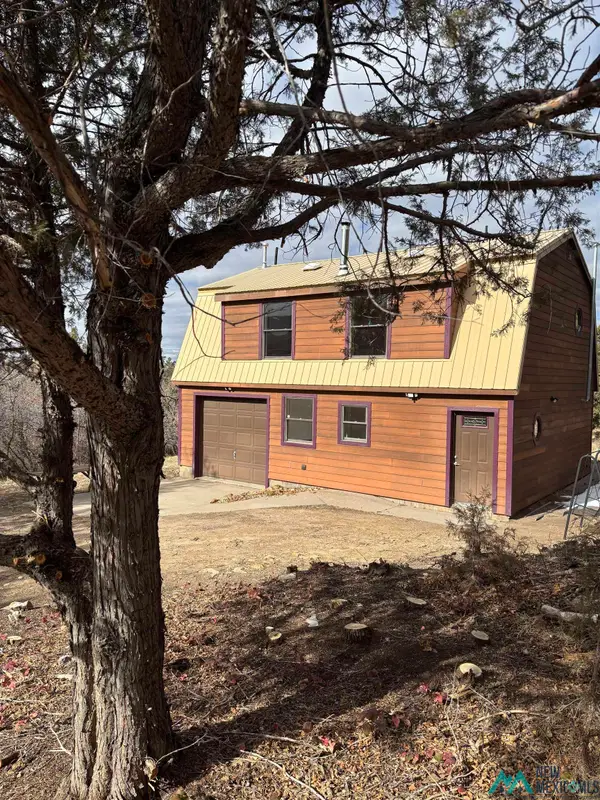 #38 1754, Chama, NM 87520