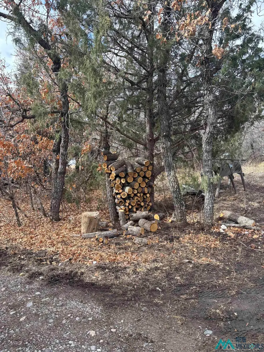 #38 1754, Chama, NM 87520 - Image #2