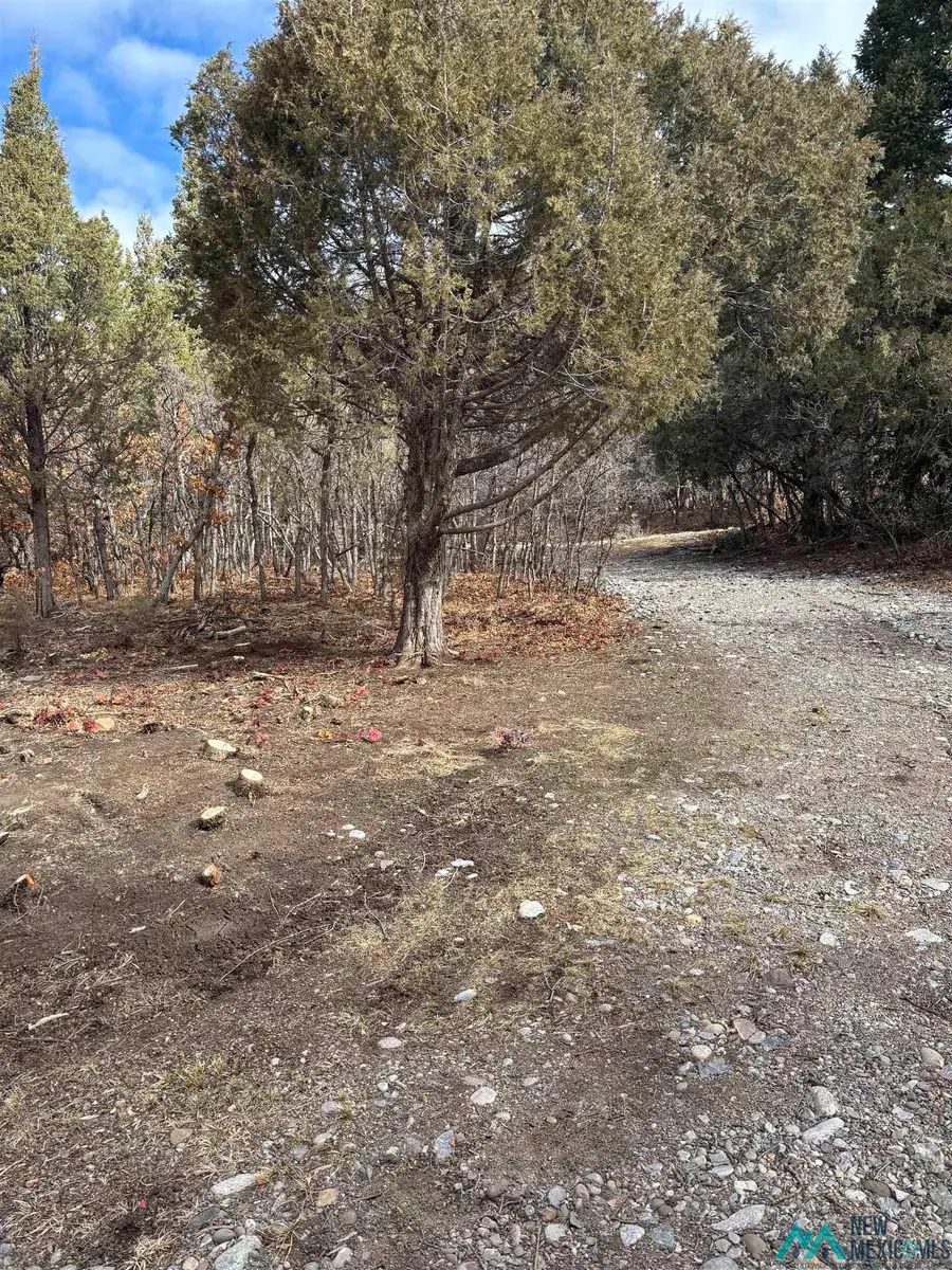 #38 1754, Chama, NM 87520 - Image #3