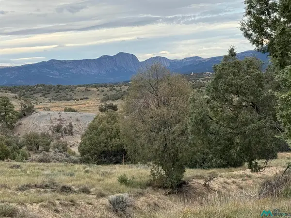 41 Bobcat Loop Loop, Los Ojos, NM 87551