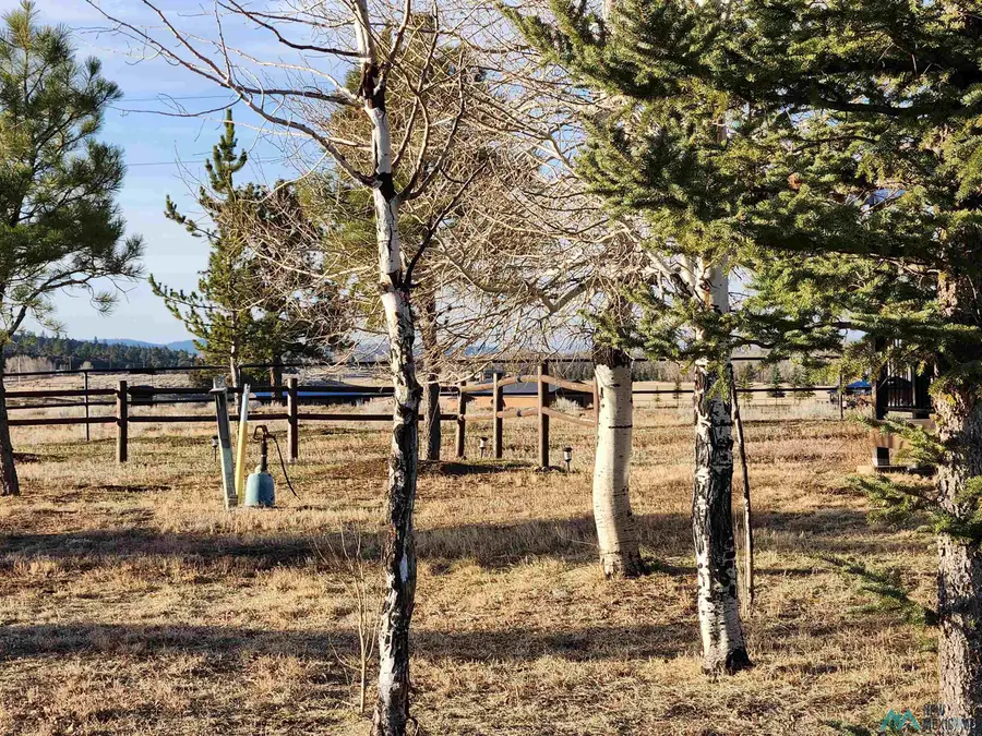 6420 Ushighway 84 64 Highway, Chama, NM 87520 - Image #3