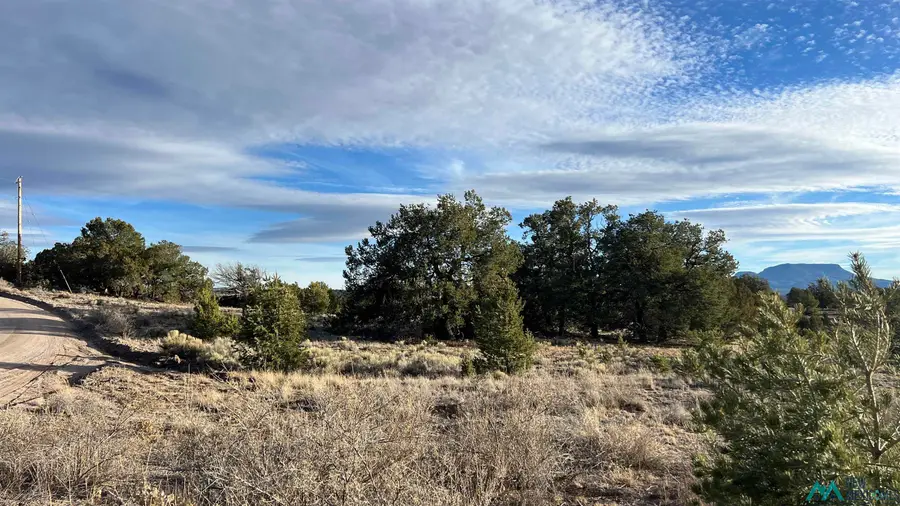TBD Old Stage Road Road, Pie Town, NM 87827 - Image #2