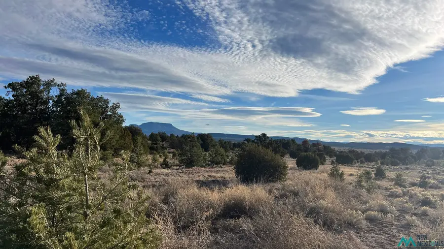 TBD Old Stage Road Road, Pie Town, NM 87827 - Image #3