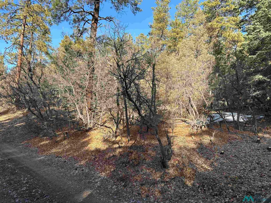 TBD Private Drive 1781, Chama, NM 87520 - Image #2