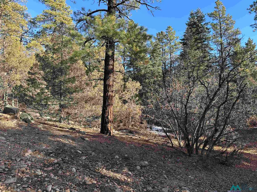 TBD Private Drive 1781, Chama, NM 87520 - Image #3
