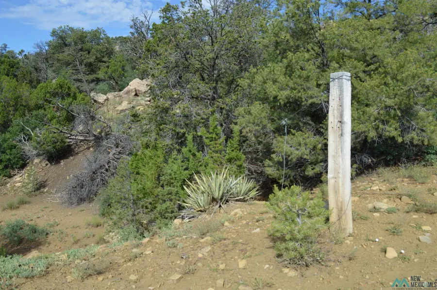 5 ACRES Tbd Asay Road, Ramah, NM 87020 - Image #3