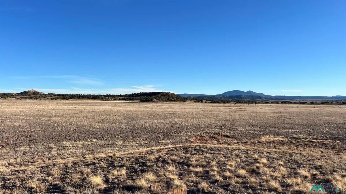 TBD Largo Creek Loop Road, Quemado, NM 87829 - Image #1