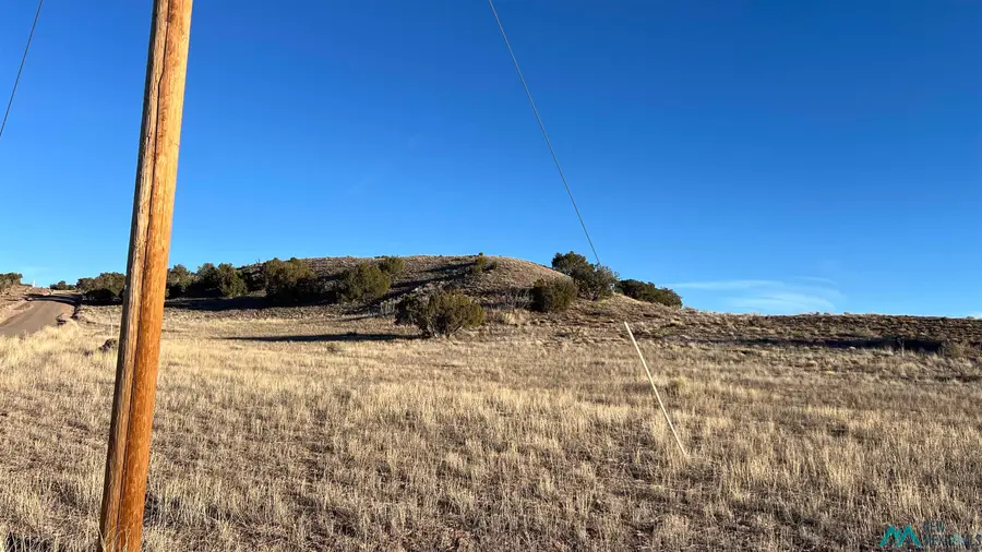 TBD Largo Creek Loop Road, Quemado, NM 87829 - Image #3