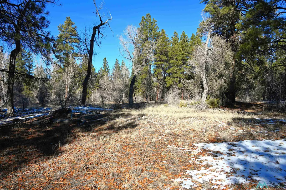Lot 10 Nm Sr 512 Highway, Chama, NM 87520 - Image #1