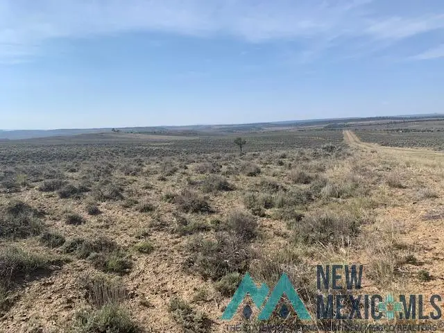 TBD Vereda De Venados Rancho De Vado Road, Tierra Amarilla, NM 87575 - Image #2