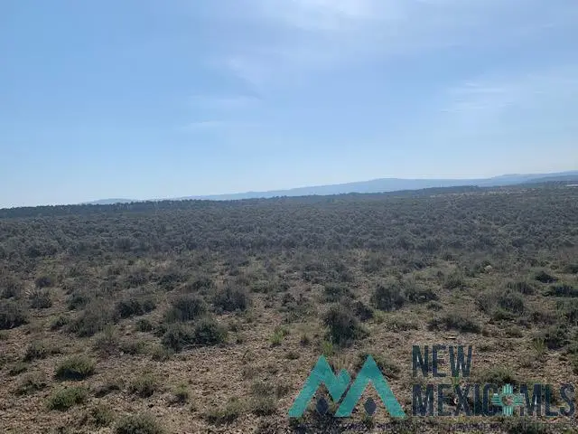TBD Vereda De Venados Rancho De Vado Road, Tierra Amarilla, NM 87575 - Image #3