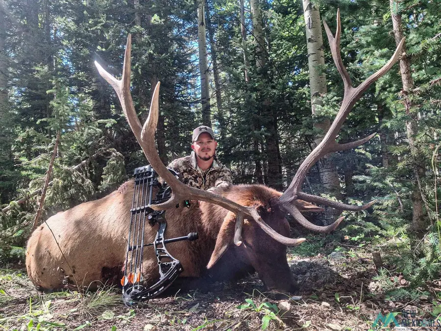 000 Highway 120, Angel Fire, NM 87710 - Image #3