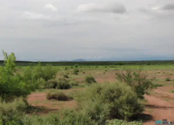 XXX Empire, Deming, NM 88030