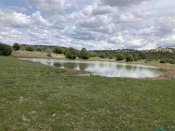 TBD Highway 84/64, Tierra Amarilla, NM 87575