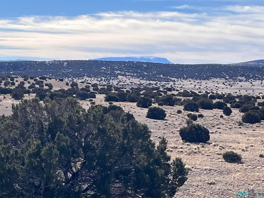 Lot 166 Deer Circle, Quemado, NM 87829 - Image #2