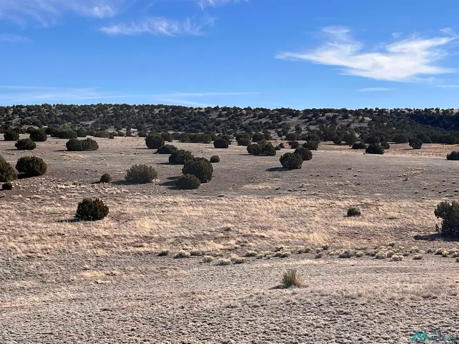 Lot 166 Deer Circle, Quemado, NM 87829 - Image #3