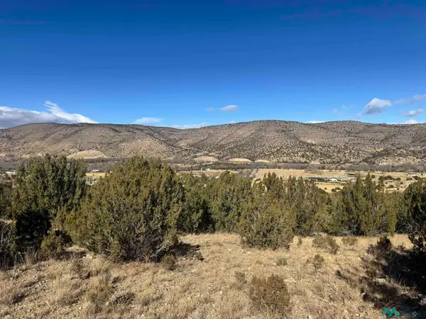 140 Manfor Road, Hondo, NM 88348